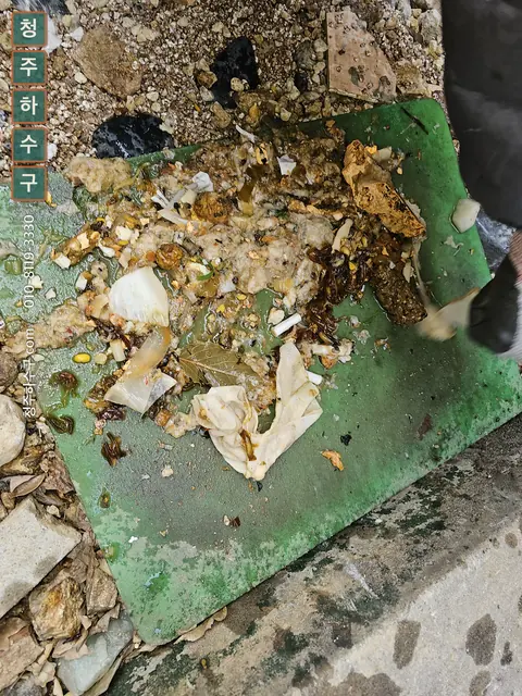 집수정에서 퍼낸 음식물 찌꺼기